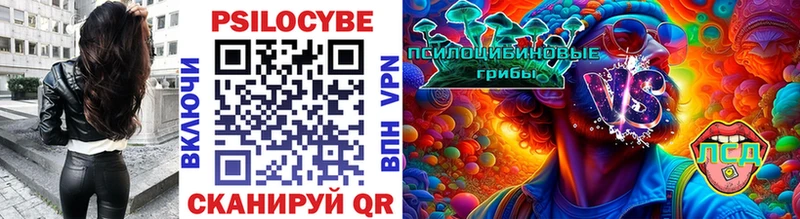 Галлюциногенные грибы мицелий как найти закладки Пролетарск